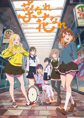 河北seo优化价值大吗